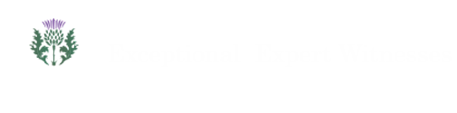 Exceptional Expert Witnesses Logo